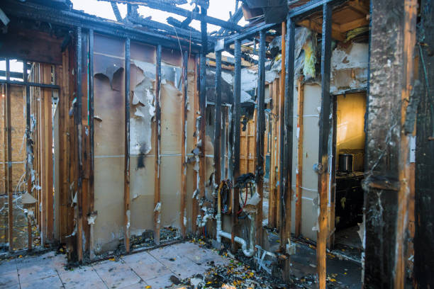 Professional Fire Board Up technician working in Dover, FL