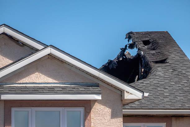 Top rated local Fire Board Up specialists in Dover, FL